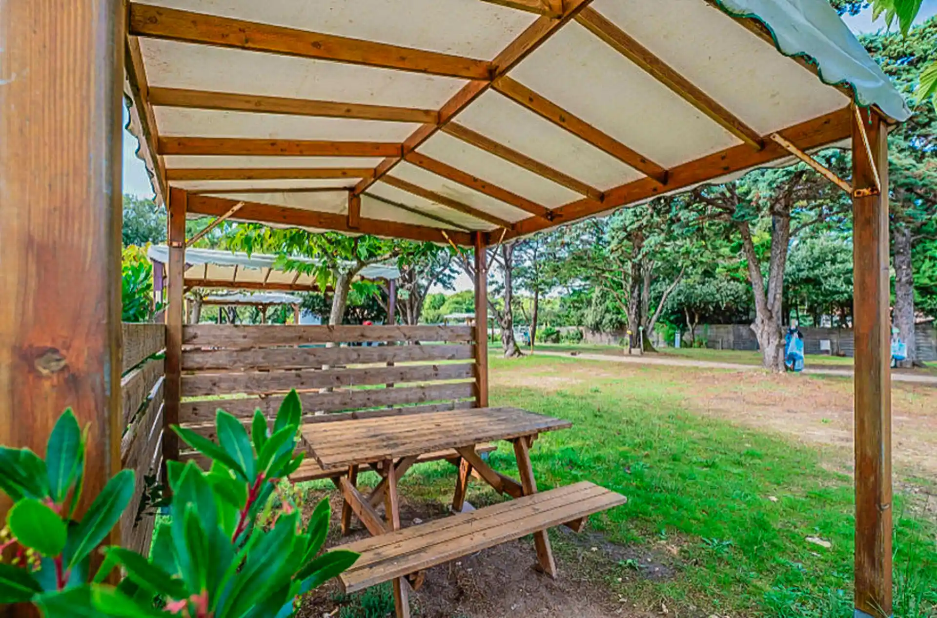 Comfort Caravan Pitch