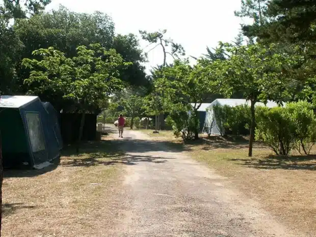 Tent pitch