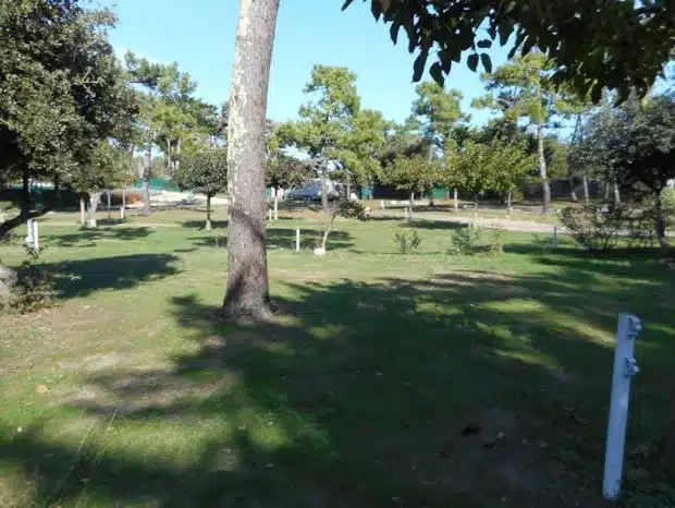 Tent pitch