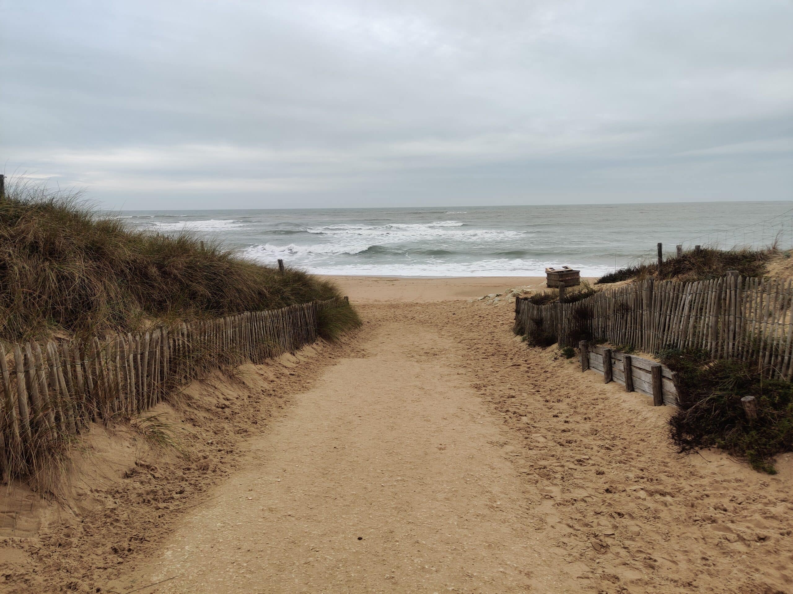 Accès à la plage entre les dunes et les ganivelles, sur le littoral de l’île d’Oléron