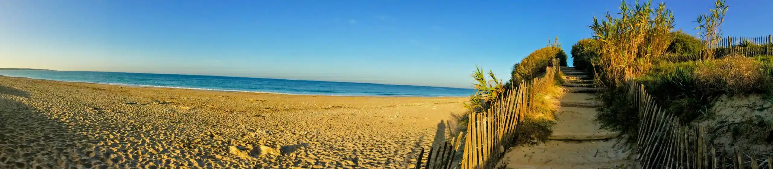 Sentier d'accès à la plage bordé de ganivelles sur l'île d'Oléron