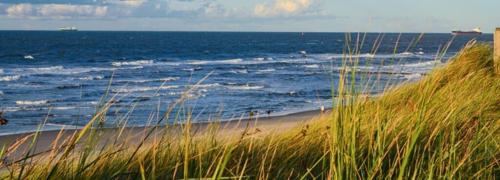 La plage de la Coubre