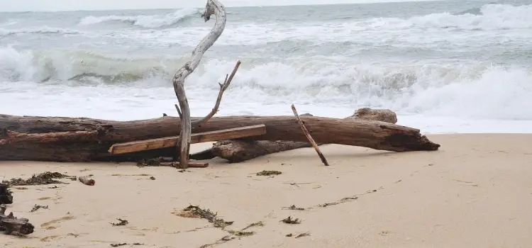 Plage de la Gautrelle