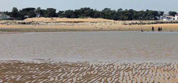 Plage Giraudière 