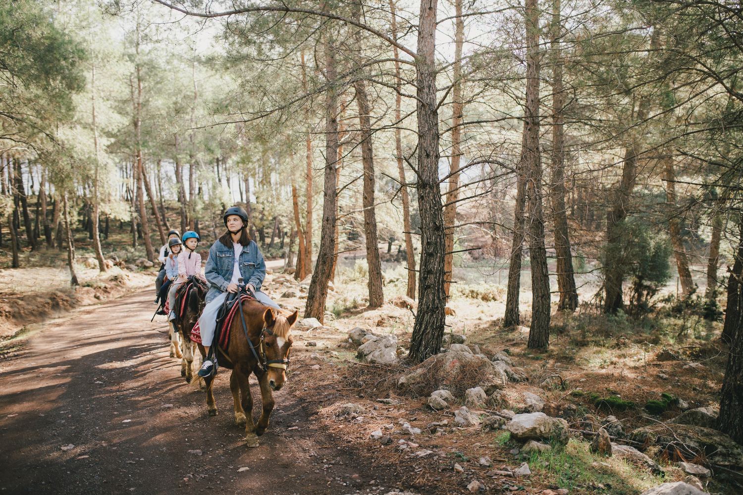 Balade à cheval en groupe sur un sentier en forêt de pins